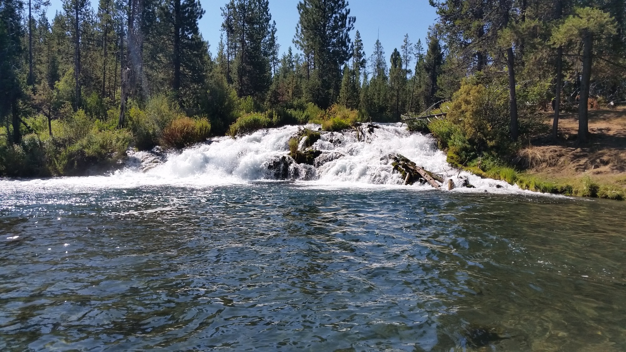Fall River Oregon Map Fishing The Fall River - Central Oregon | Rifflemap